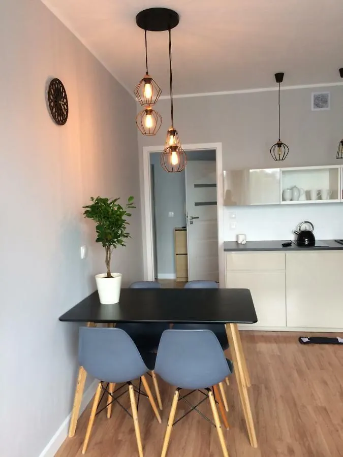 Lägenhet Apartament Politechnika Przy Jeziorze Poznań